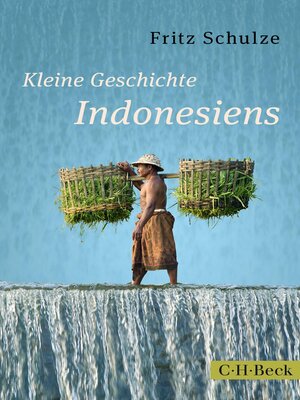 cover image of Kleine Geschichte Indonesiens